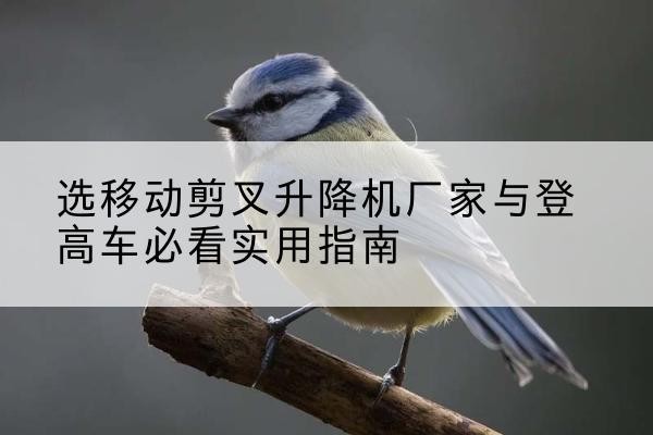 通城电动升降机厂家-选移动剪叉升降机厂家与登高车必看实用指南