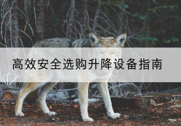 通城升降货梯厂家推荐-*安全选购升降设备指南
